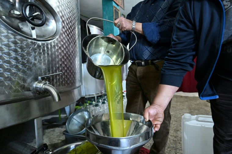 Production d'huile d'olive au moulin de Ben Bazza dans le nord de la Tunisie le 12 novembre 2025. Le prix des huiles végétales baisse de 2,6% en novembre. ( AFP / FETHI BELAID )