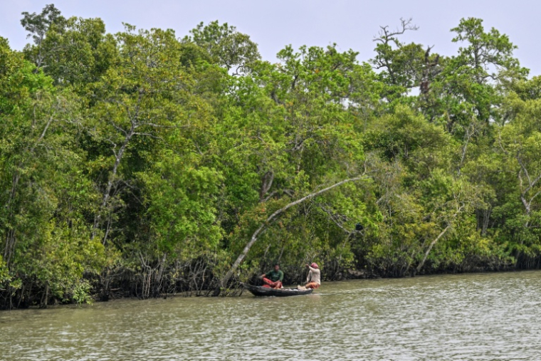 Des pêcheurs sur la rivière Kholpetua à Kalabogi, dans le district de Khulna, près des Sundarbans, une mangrove en proie à des pirates qui ciblent les pêcheurs, le 30 mars 2026 au Bangladesh ( AFP / Munir UZ ZAMAN )