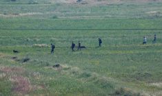 Recherche d'un jeune qui aurait disparu dans la zone proche du village d'al-Mughayyer, en Cisjordanie occupée