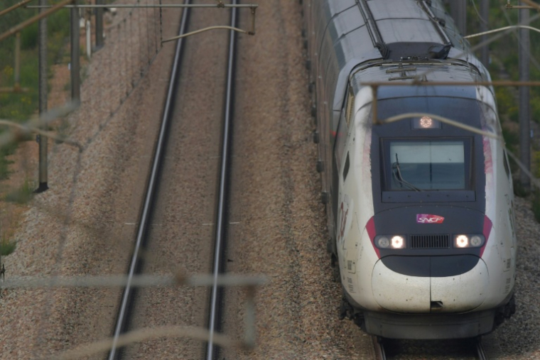 TGV sur la ligne Paris-Bordeaux le 31 août 2024. ( AFP / JEAN-FRANCOIS MONIER )