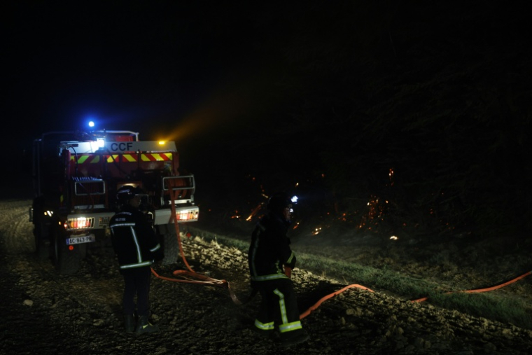 Des pompiers luttent contre un incendie dans la forêt de Fontainebleau, à Noisy-sur-Ecole, le 13 juillet 2026 en Seine-et-Marne ( AFP / GEOFFROY VAN DER HASSELT )