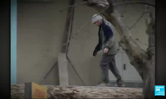 Lutte contre la toxicomanie : le modèle portugais fait des émules