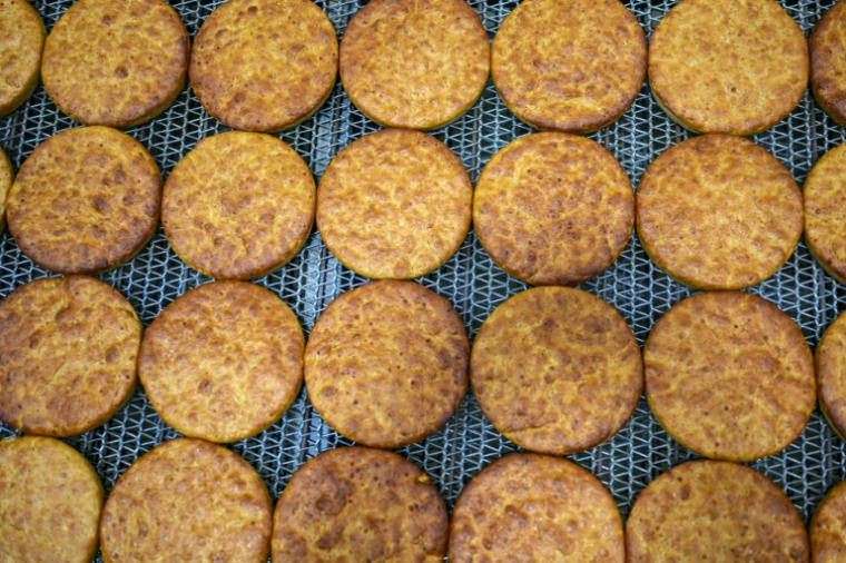 Du pain fabriqué avec de la farine de blé ancestral, de lentilles et de boulgour, comme l'était celui de Kullüoba, dans la boulangerie municipale de Halk Ekmek, à Eskisehir, en Turquie, le 23 mai 2025 ( AFP / Yasin AKGUL )