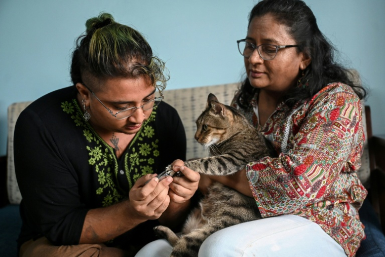 Meghna Kulkarni (à droite) aide son enfant transmasculin non binaire, Rit Kulkarni, à couper les griffes de leur chat après un entretien avec l’AFP à bombay en Inde, le 20 août 2026 ( AFP / Punit PARANJPE )