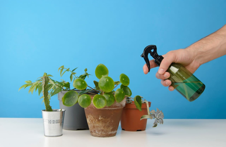 (Crédits photo : Adobe Stock - Arrosage plantes d'été l'été pendant ses vacances)
