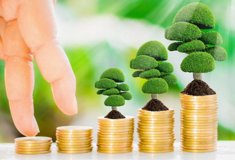 Qu'est-ce que le crédit d'impôt pour la transition énergétique (CITE) ? / iStock.com - thawornnurak