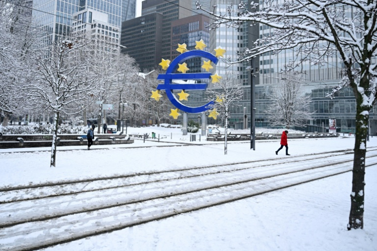 Tout retard de l'Union européenne dans l'adoption de l'euro numérique, version digitale de l'argent détenue en espèces, exposerait le Vieux-Continent aux acteurs "big tech non-européens" avertit un haut responsable de la Banque centrale européenne ( AFP / Kirill KUDRYAVTSEV )