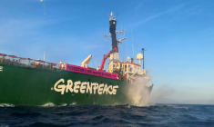 Le bateau de Greenpeace, qui devait rejoindre la trentaine de navires scientifiques d'ONG invités à Nice en marge du sommet de l'ONU sur les océans n'aura finalement pas le droit d'entrer dans le port ( AFP / Fabien NOVIAL )