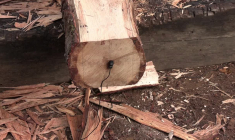 Du château fort au laboratoire, une archéologue sonore ressuscite le passé