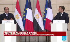 REPLAY - Visite d'Abdel Fattah al-Sissi à Paris : conférence de presse des présidents français et égyptien