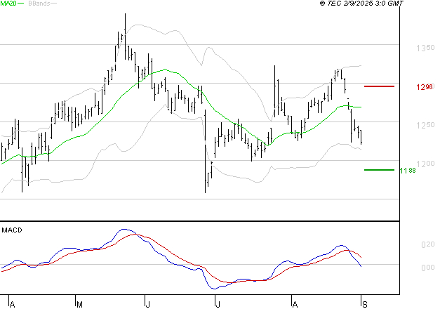 CARREFOUR SA : Sous les résistances, une consolidation est probable