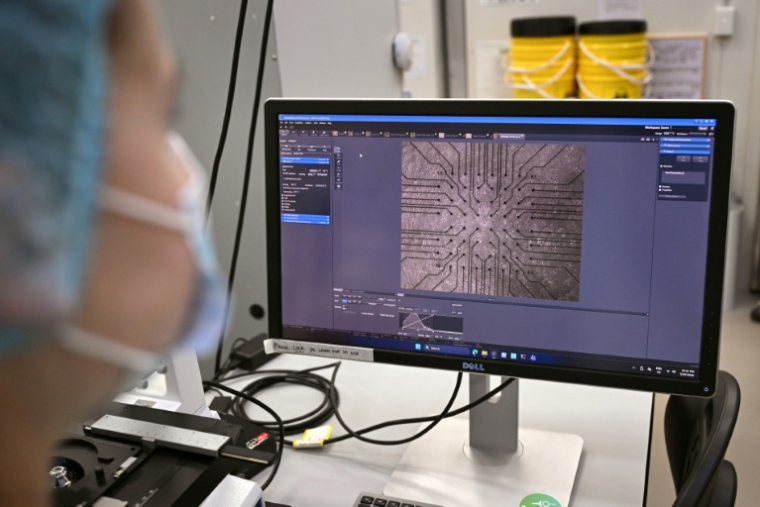 Sur cette photo prise le 5 mai 2026, la chercheuse Daria Kornienko observe au microscope des neurones cultivés dans le laboratoire de l'entreprise australienne Cortical Labs à Melbourne  ( AFP / William WEST )