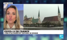 Covid-19 en France : un "pass sanitaire" ou un "passeport vaccinal" ?