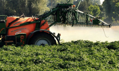 La quasi-totalité de la loi d'urgence agricole a été validée vendredi par le Conseil constitutionnel, y compris les volets controversés sur la réintroduction dérogatoire de pesticides interdits, jugée suffisamment encadrée par les Sages, et sur la gestion de l'eau ( AFP / PHILIPPE HUGUEN )