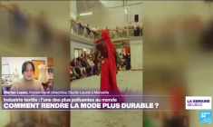 Shein, Temu, Primark... Faut-il taxer l'"ultra fast fashion" ?