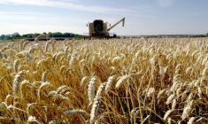 ( AFP / MYCHELE DANIAU )