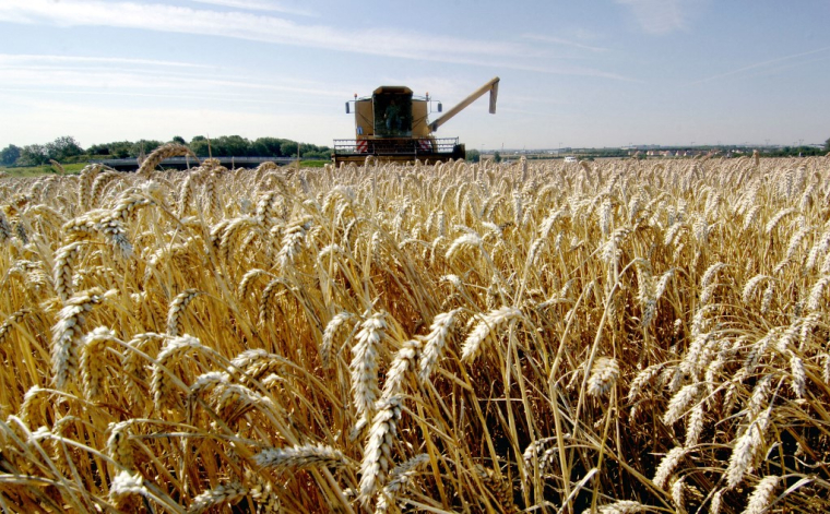 ( AFP / MYCHELE DANIAU )