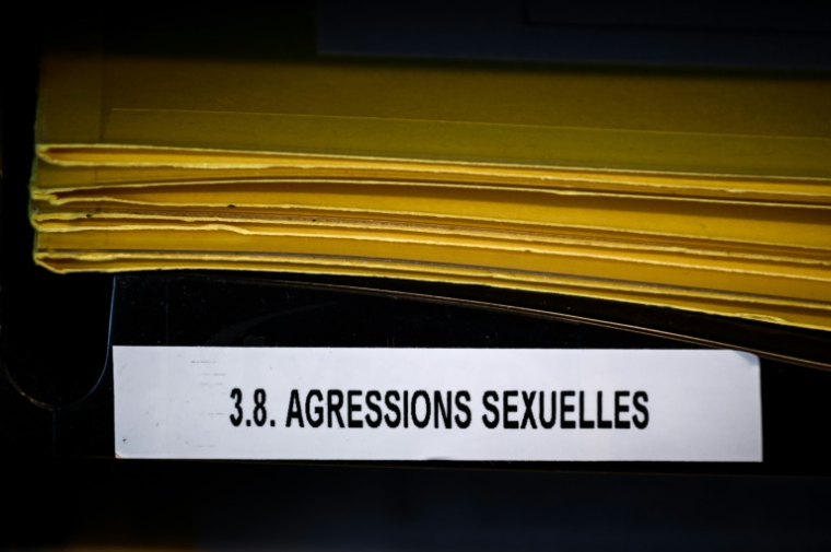 L'article 5 crée ainsi des juridictions spécialisées dans les violences sexuelles et intrafamiliales ( AFP / Philippe LOPEZ )