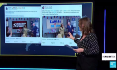 Non, Kamala Harris n'est pas communiste et Tim Walz n'a pas menti sur son chien