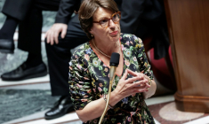 La ministre de l'Agriculture, Annie Genevard, lors de la séance des questions au gouvernement à l'Assemblée nationale, le 15 juillet 2026 à Paris ( AFP / STEPHANE DE SAKUTIN )