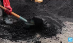 Tunisie : deux chroniqueurs condamnés à un an de prison pour des critiques du pouvoir