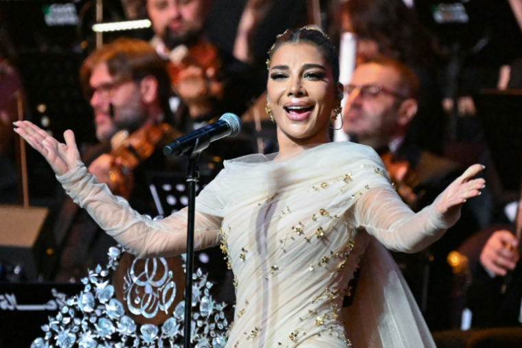 Retour triomphal d'une célèbre chanteuse à Damas, après 15 ans d'exil ( AFP / LOUAI BESHARA )
