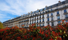 Chris Bourloton/Shutterstock / Chris Bourloton