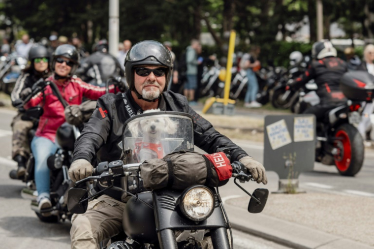 Des motards arrivent en Harley-Davidson au festival Harley-Davidson Euro 2025 près de Grimaud, le 9 mai 2025 dans le Var ( AFP / Frederic DIDES )