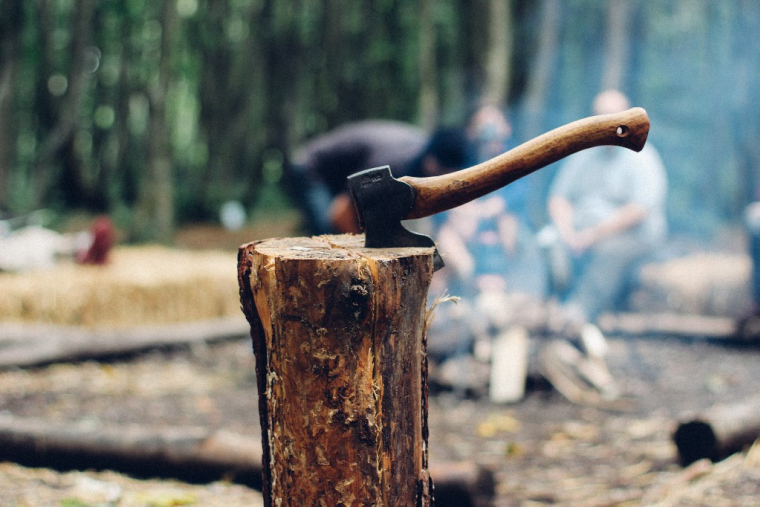 On ne peut exiger la taille d’un arbre qu‘à son voisin immédiat (Crédit Photo: Dan Edwards - Unsplash)