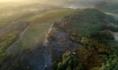 Des véhicules de pompiers au milieu d'arbres brûlés après l'incendie de forêt près de Sigean (Aude) dimanche 27 juillet 2025 - Photo prise et publiée par Service départemental d'incendie et de secours (Sdis 11)  ( SDIS11 / Handout )