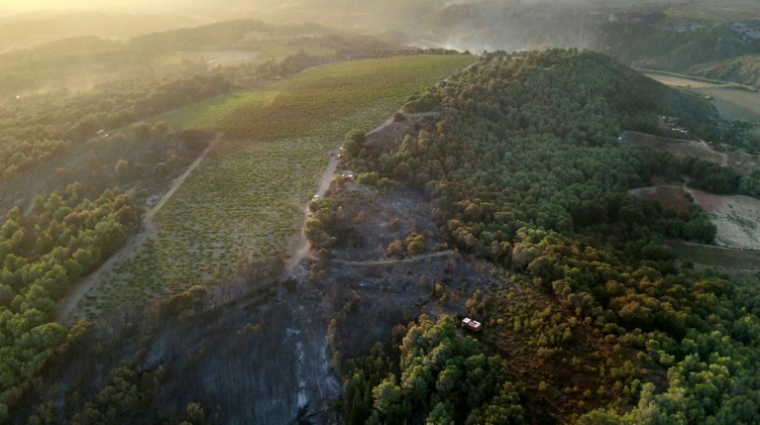 Des véhicules de pompiers au milieu d'arbres brûlés après l'incendie de forêt près de Sigean (Aude) dimanche 27 juillet 2025 - Photo prise et publiée par Service départemental d'incendie et de secours (Sdis 11) ( SDIS11 / Handout )
