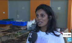 Nouvelle-Calédonie : les mesures d'urgence des autorités jugées insuffisantes