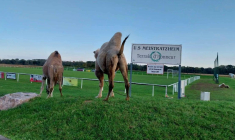 On a rencontré le club le plus poissard de France