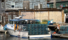 Un bateau de pêche rentre au port de Portland, dans le Maine (nord-est des États-Unis) après une matinée en mer, le 12 octobre 2026 ( AFP / CHARLY TRIBALLEAU )