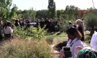 Plantation d'un nouvel olivier en hommage à Ilan Halimi