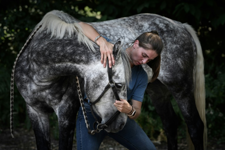 L'ostéopathe Philippine Jean manipule un cheval dans une ferme à Ayguemorte-les-Graves, dans le sud-ouest de la France, le 4 août 2025 ( AFP / Philippe LOPEZ )