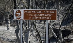 Trois agents de l'Office national des forêts (ONF) sont en garde à vue dans le cadre de l'enquête visant à établir les causes de l'incendie de Ribaute, qui a parcouru 17.000 hectares dans le massif des Corbières en août 2025 ( AFP / Valentine CHAPUIS )