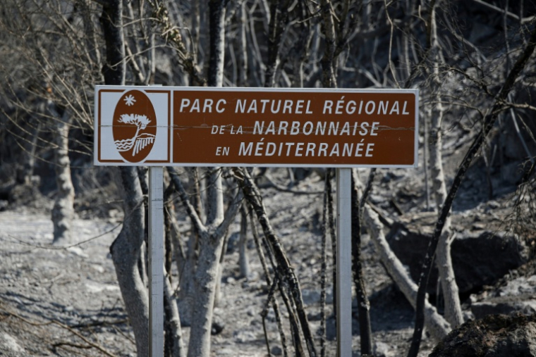 Trois agents de l'Office national des forêts (ONF) sont en garde à vue dans le cadre de l'enquête visant à établir les causes de l'incendie de Ribaute, qui a parcouru 17.000 hectares dans le massif des Corbières en août 2025 ( AFP / Valentine CHAPUIS )