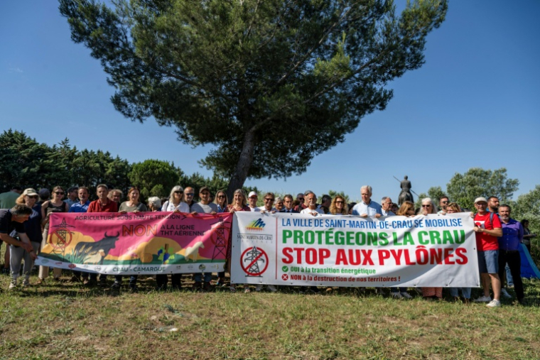 Mobilisation contre un projet de ligne électrique à très haute tension (THT) entre le Gard et les Bouches-du-Rhône, à Arles, le 8 juin 2026 ( AFP / MIGUEL MEDINA )