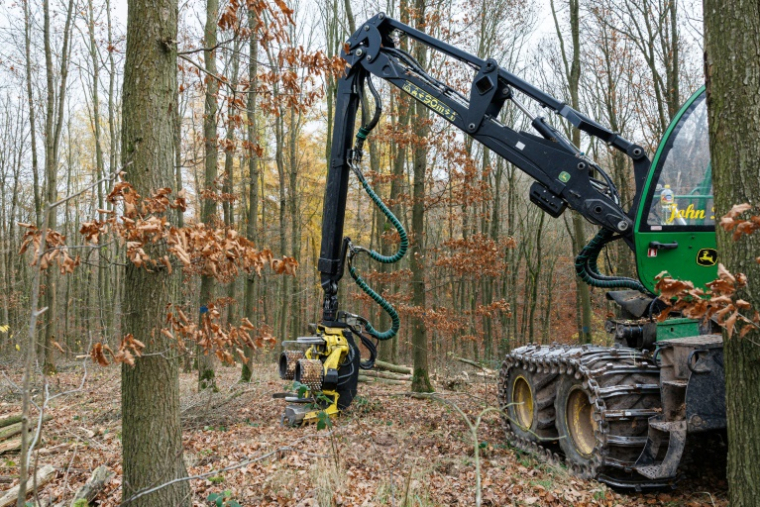 Une abatteuse forestière se dresse dans une forêt près d'Annarode, face à un tas de bois de hêtre fraîchement coupé pour alimenter la raffinerie du groupe finlandais UPM ( AFP / JENS SCHLUETER )