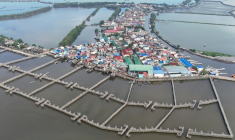 Des pièges à sédiments en bambou conçus pour ralentir l'écoulement de l'eau à côté des maisons de l'île Pamarawan, dans la ville de Malolos, aux Philippines, le 13 octobre 2026 ( AFP / Ted ALJIBE )