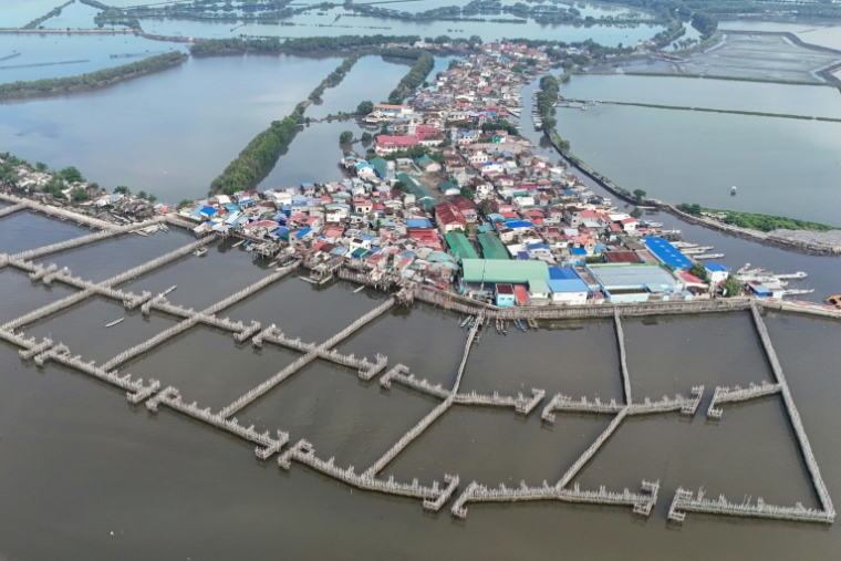 Des pièges à sédiments en bambou conçus pour ralentir l'écoulement de l'eau à côté des maisons de l'île Pamarawan, dans la ville de Malolos, aux Philippines, le 13 octobre 2026 ( AFP / Ted ALJIBE )