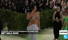 Met Gala : Beyoncé en robe-squelette, Madonna en chapeau-pirate et le retour de Léna Situations