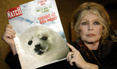 PHOTO DE FICHIER : L'ancienne actrice française Brigitte Bardot montre un exemplaire de 1969 du magazine français "Paris Match" ...