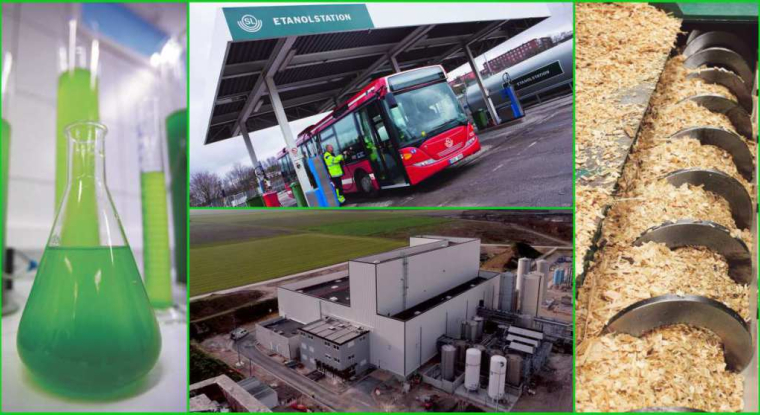 Les acteurs de la chimie verte cultivent le même rêve : utiliser des plantes, des céréales ou des déchets pour construire une nouvelle industrie des carburants et de la chimie. (© Scania - DR)