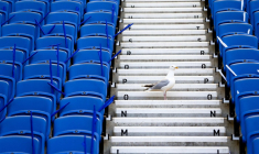 La nouvelle recrue du Celta de Vigo est une mouette