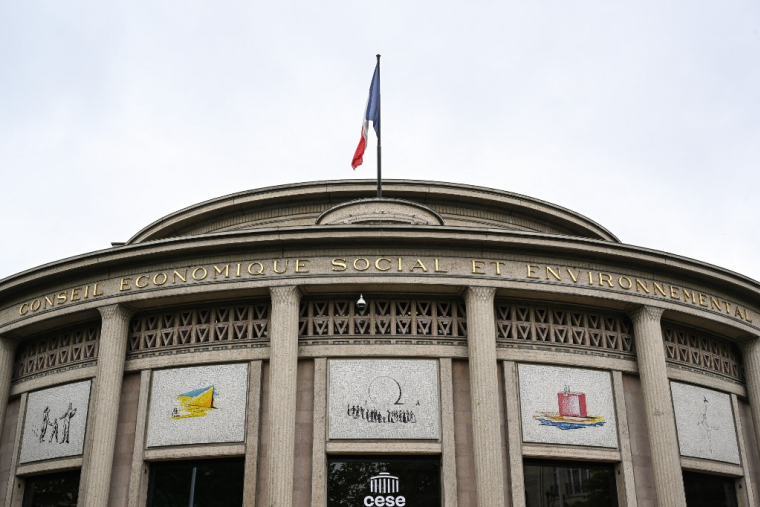 Le Cese est composé de 175 membres (illustration) ( AFP / HUGO MATHY )