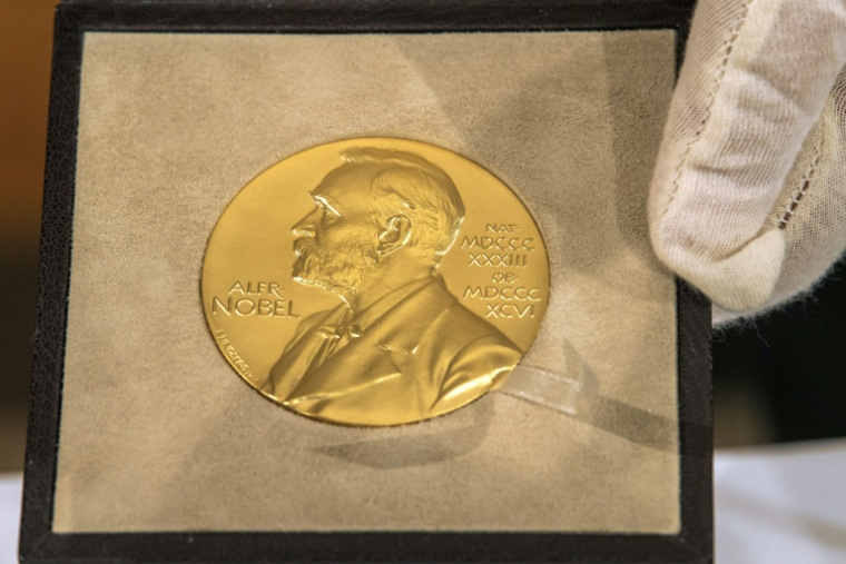 La physique des particules, l'invention d'une "cape d'invisibilité" ou l'astrophysique figurent parmi les recherches qui pourraient remporter le prix Nobel de physique mardi, selon les experts ( POOL / Peter Kneffel )