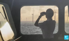 Rencontre avec le roi du pop art japonais Takashi Murakami et ses œuvres monumentales