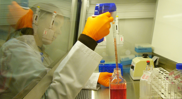 IFN kinoïde est un vaccin thérapeutique en cours de développement clinique dans le Lupus érythémateux disséminé. (© Neovacs)